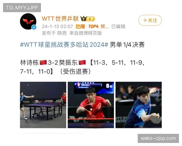 樊振东确认因伤退出WTT冠军赛澳门站